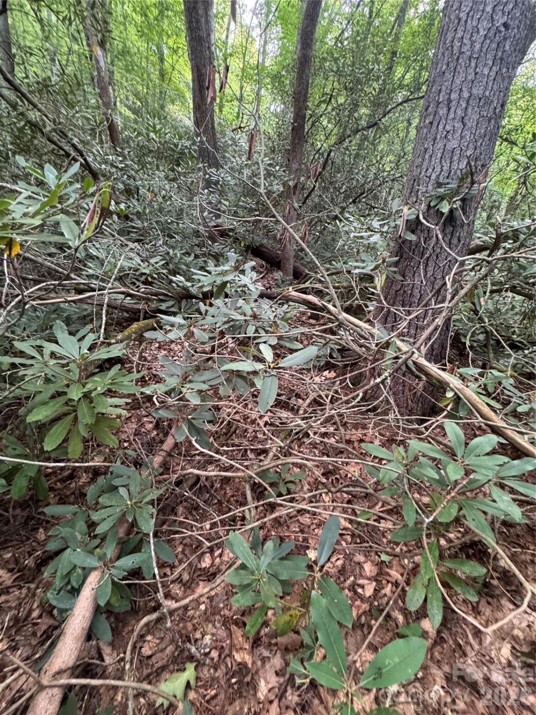 000 Wilson Road - Photo 31