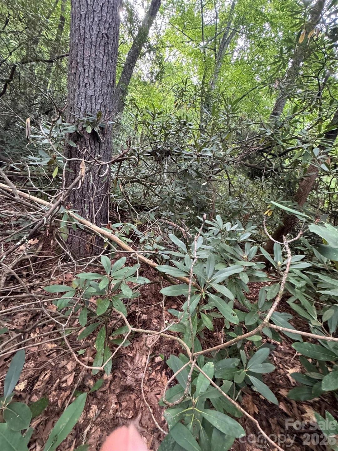 000 Wilson Road - Photo 32