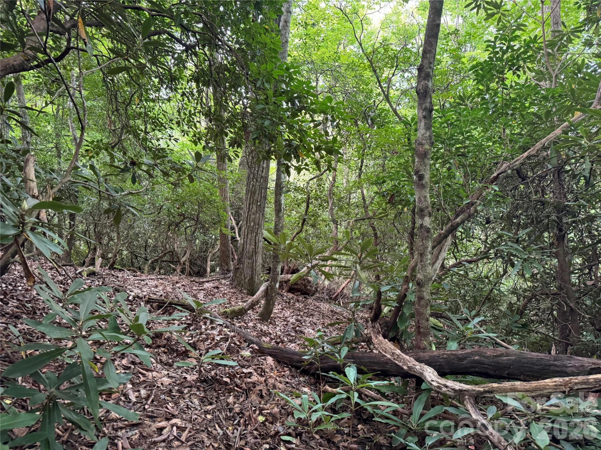 000 Wilson Road - Photo 35