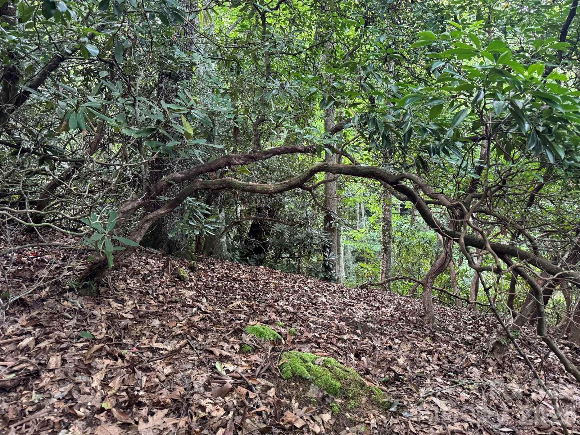 000 Wilson Road - Photo 36