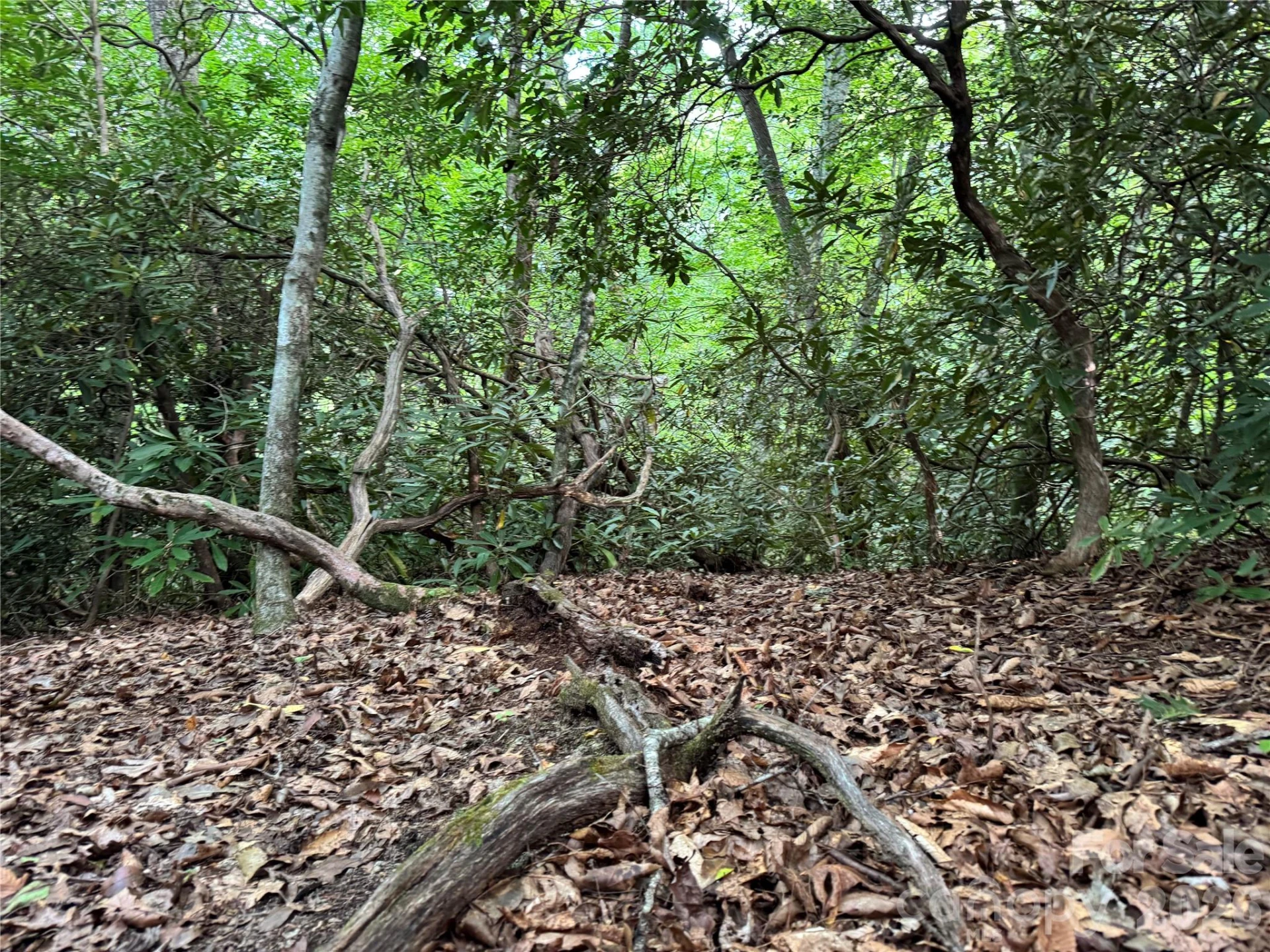 000 Wilson Road - Photo 39