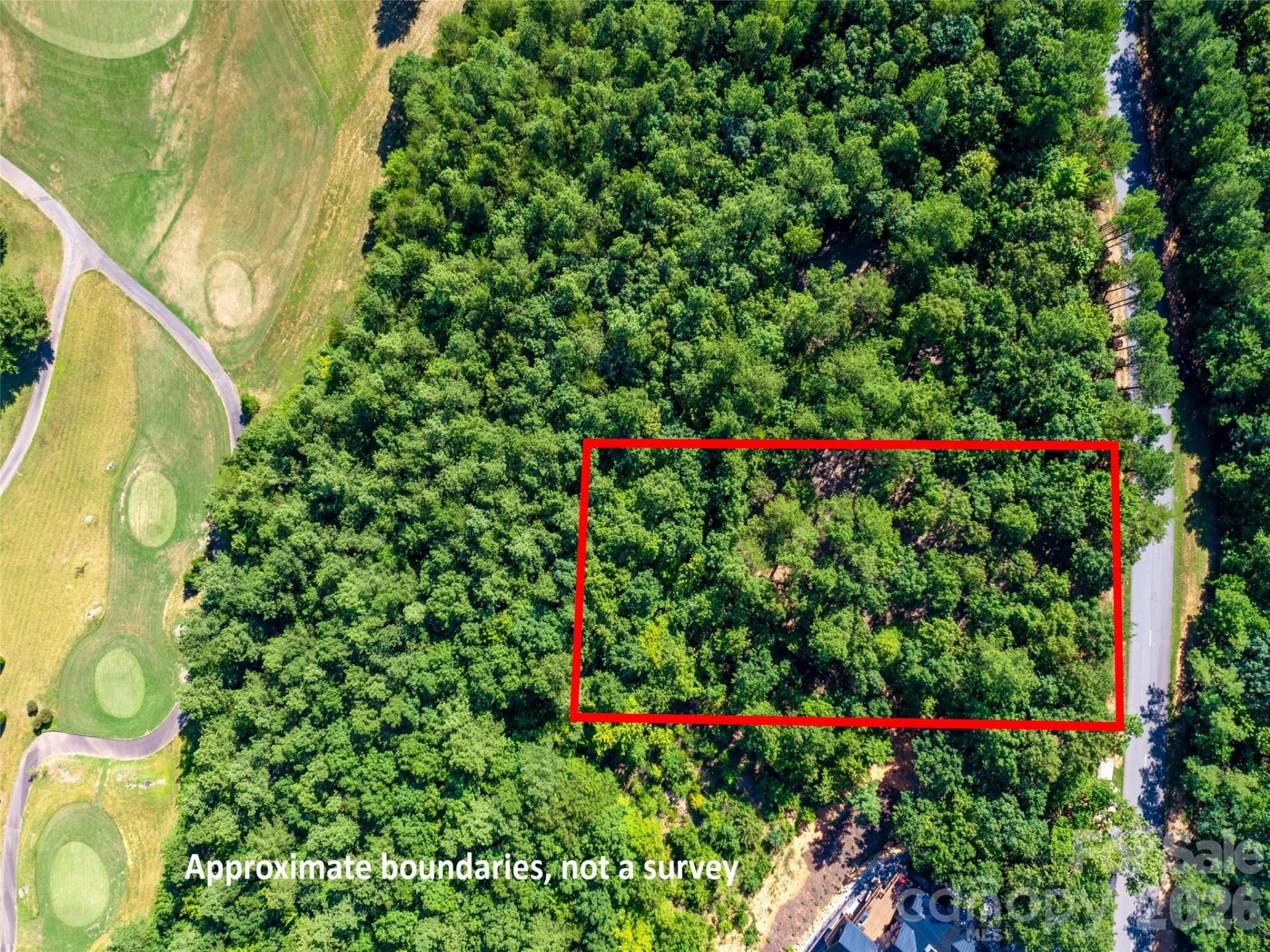 2026 Deep Gap Farm Road E - Photo 3