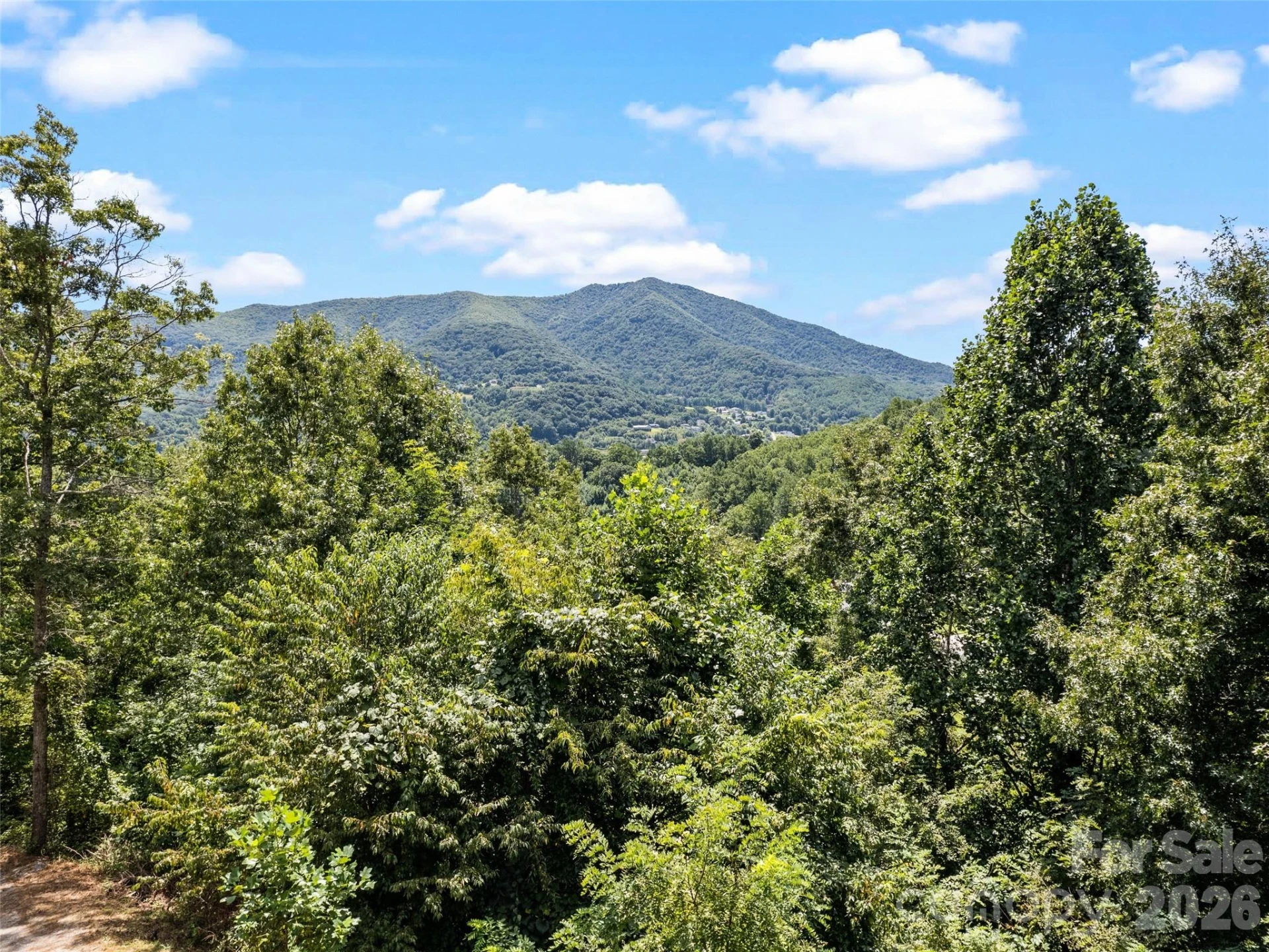785 Orion Davis Road - Photo 13