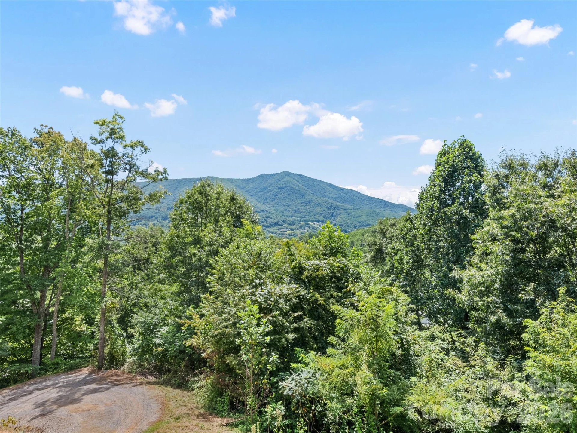 785 Orion Davis Road - Photo 16