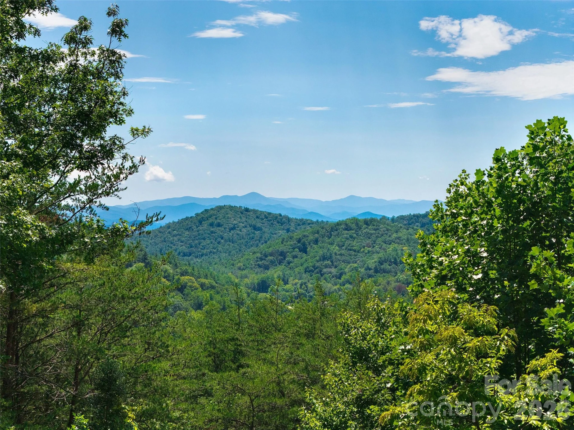 225 Long Branch Road - Photo 33
