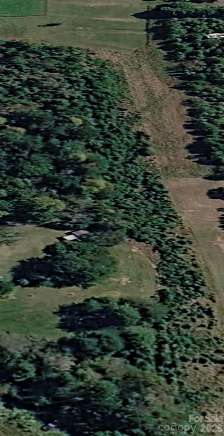 482 Morningstar Lake Road - Photo 2