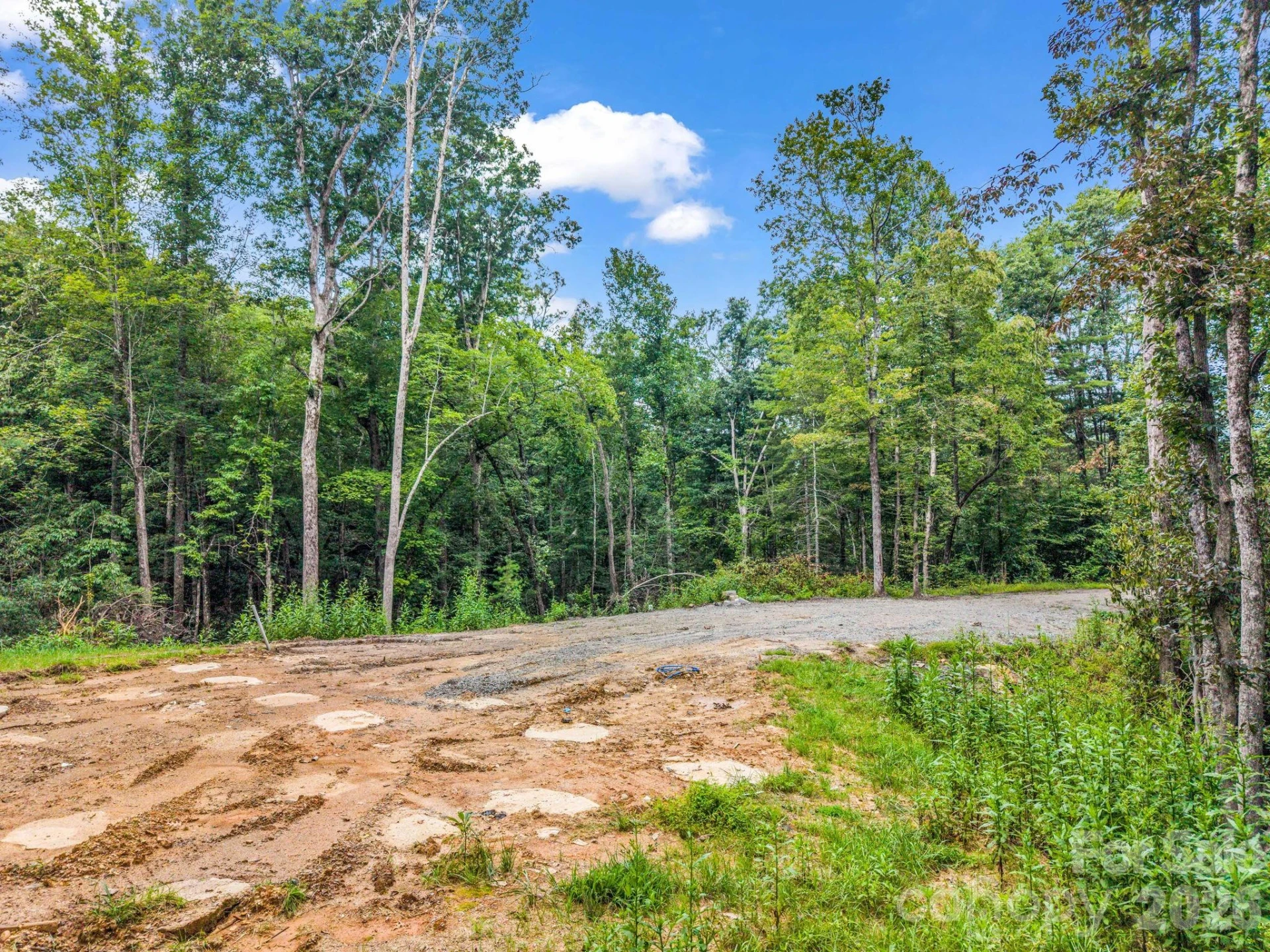 175 Silver Bullet Way - Photo 7