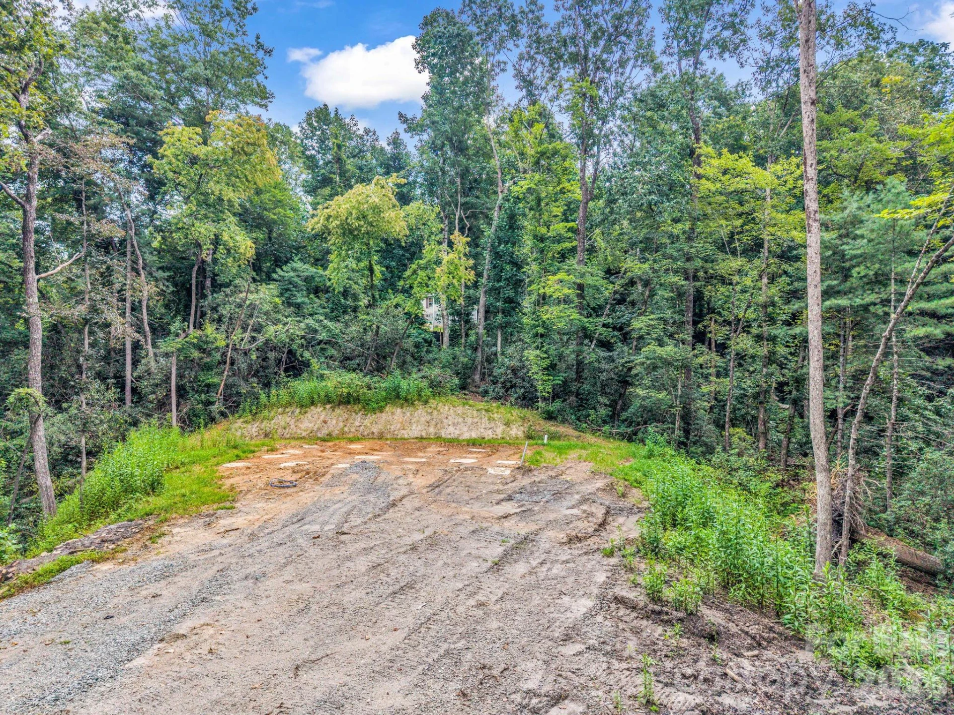 175 Silver Bullet Way - Photo 9