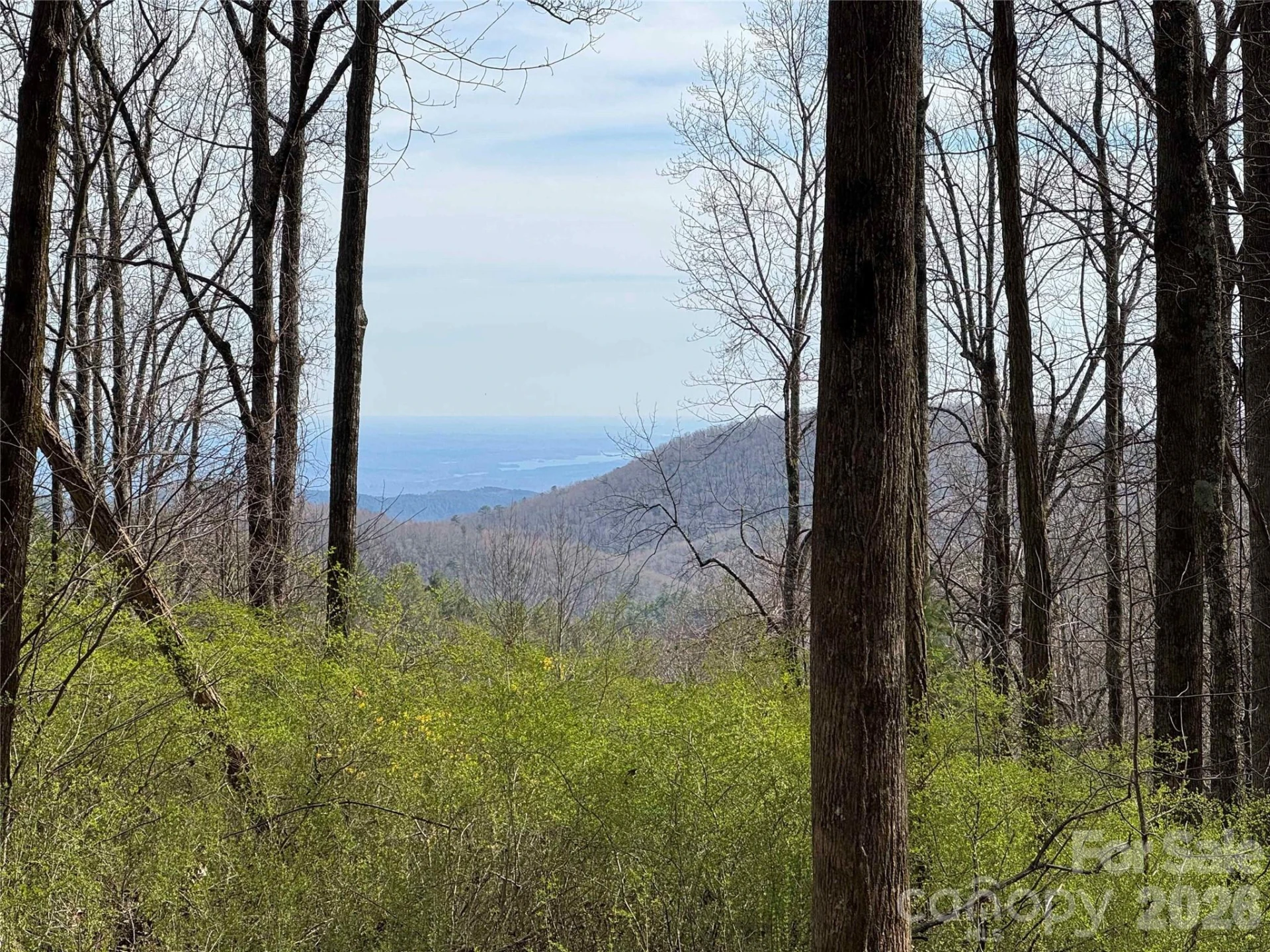 L8 Black Bear Court - Photo 6