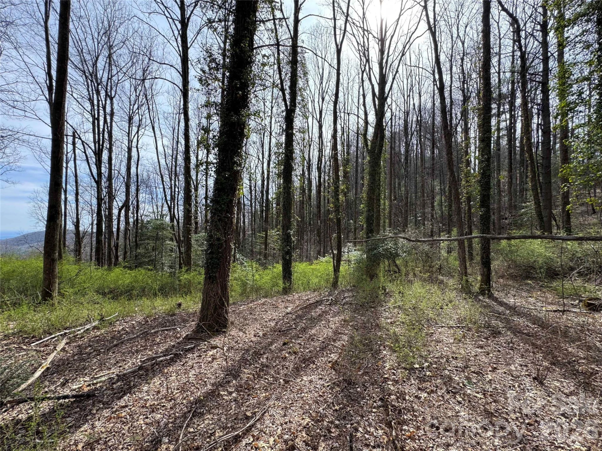 L8 Black Bear Court - Photo 7