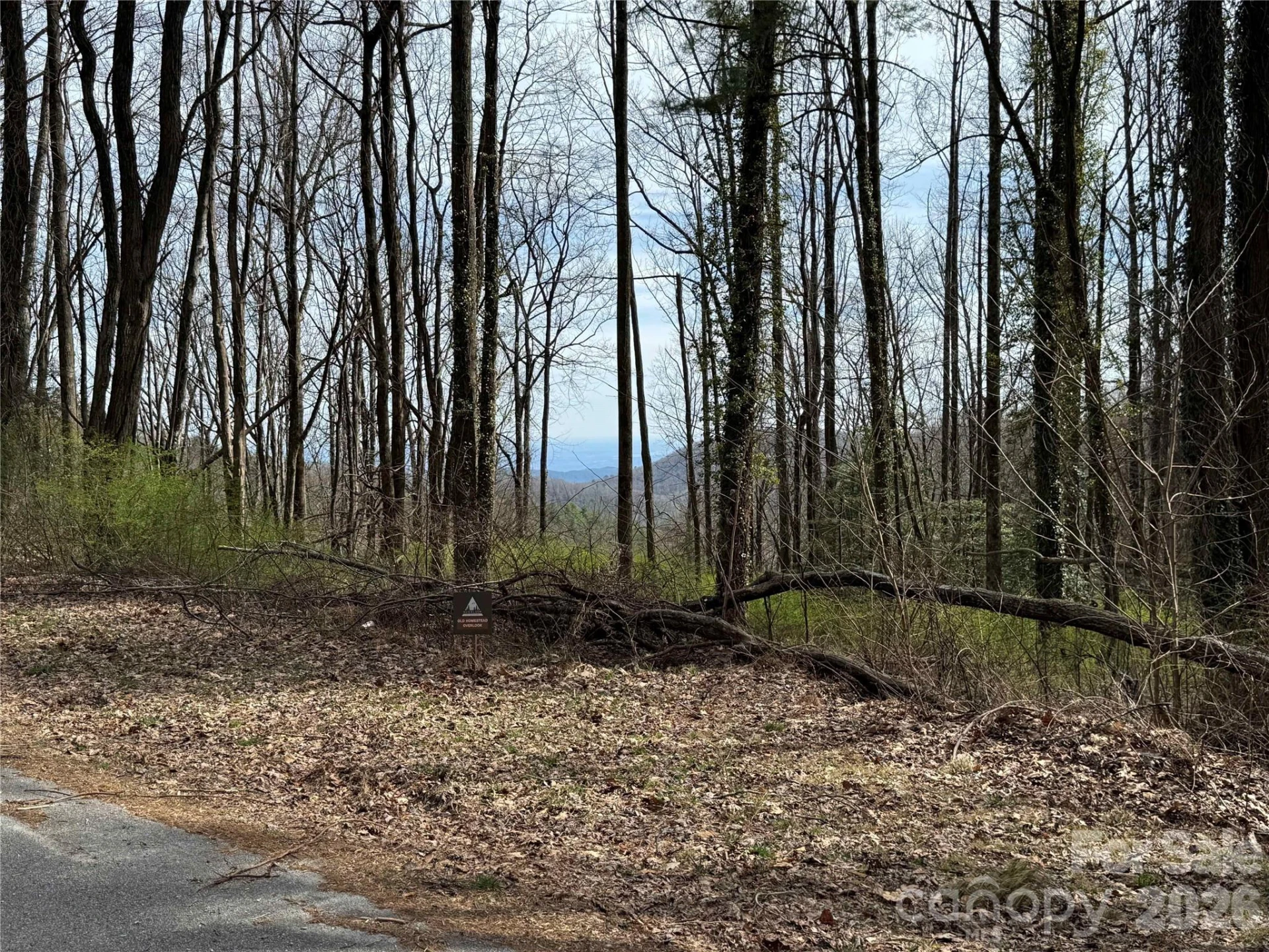 L8 Black Bear Court - Photo 9