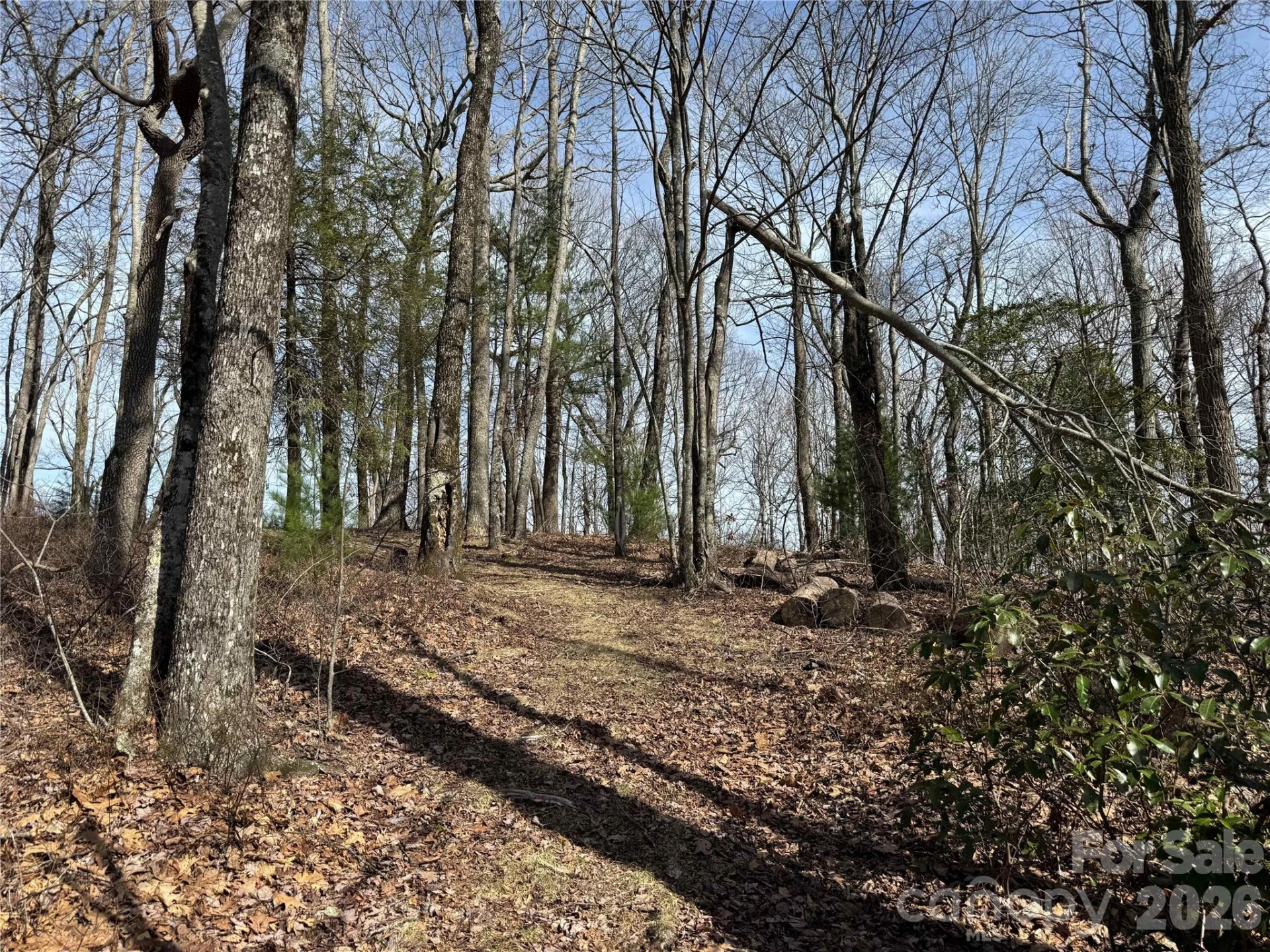 L4 Windy Gap Lane - Photo 2