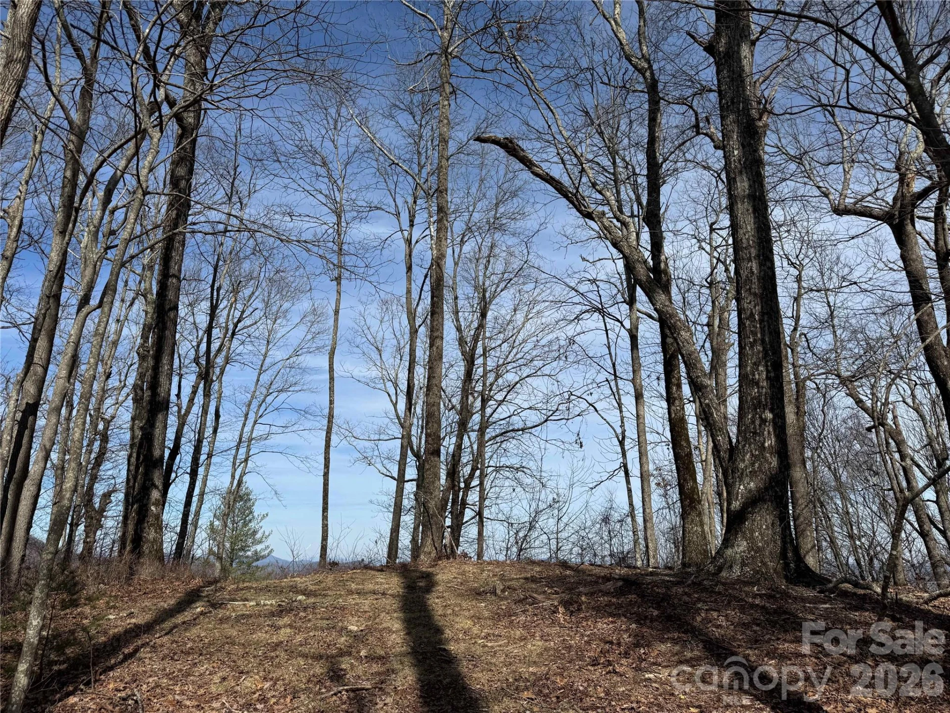 L4 Windy Gap Lane - Photo 3
