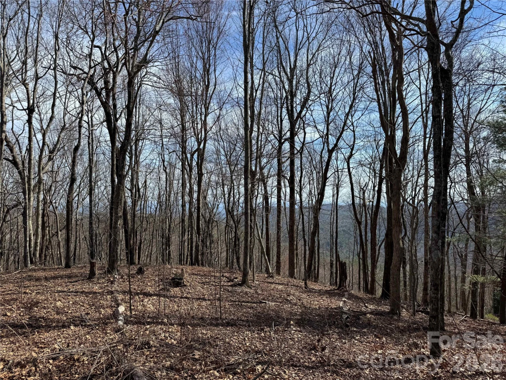 L4 Windy Gap Lane - Photo 8