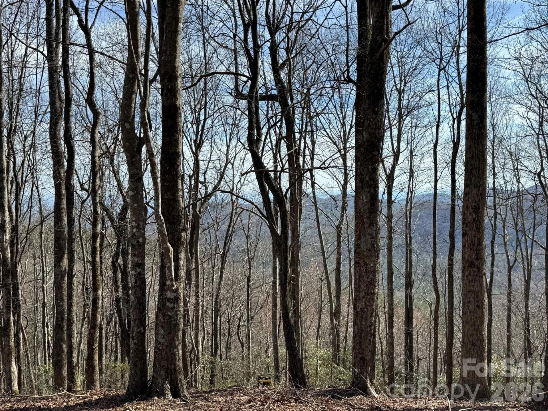 L4 Windy Gap Lane - Photo 10