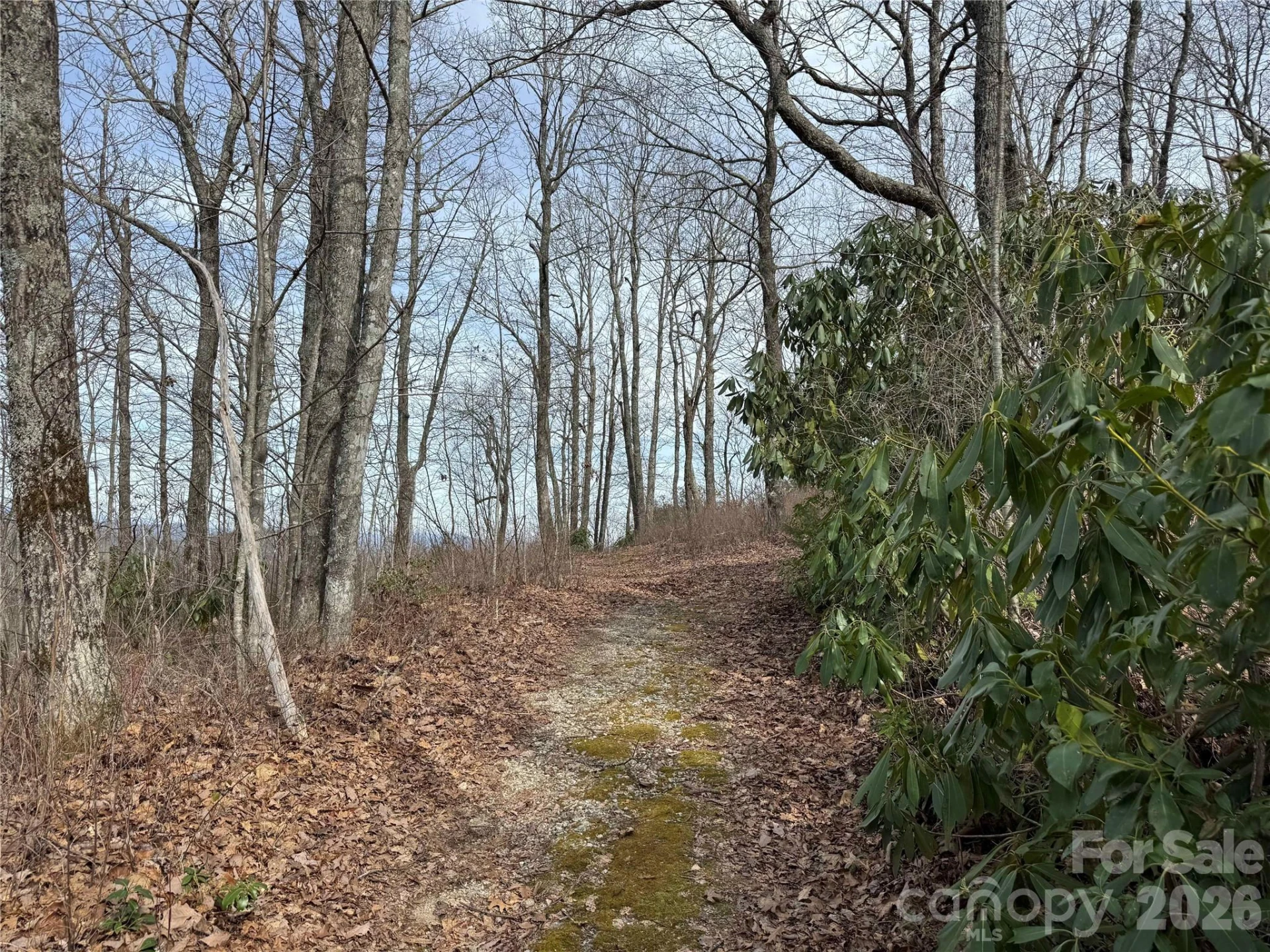 L3 Windy Gap Lane - Photo 2