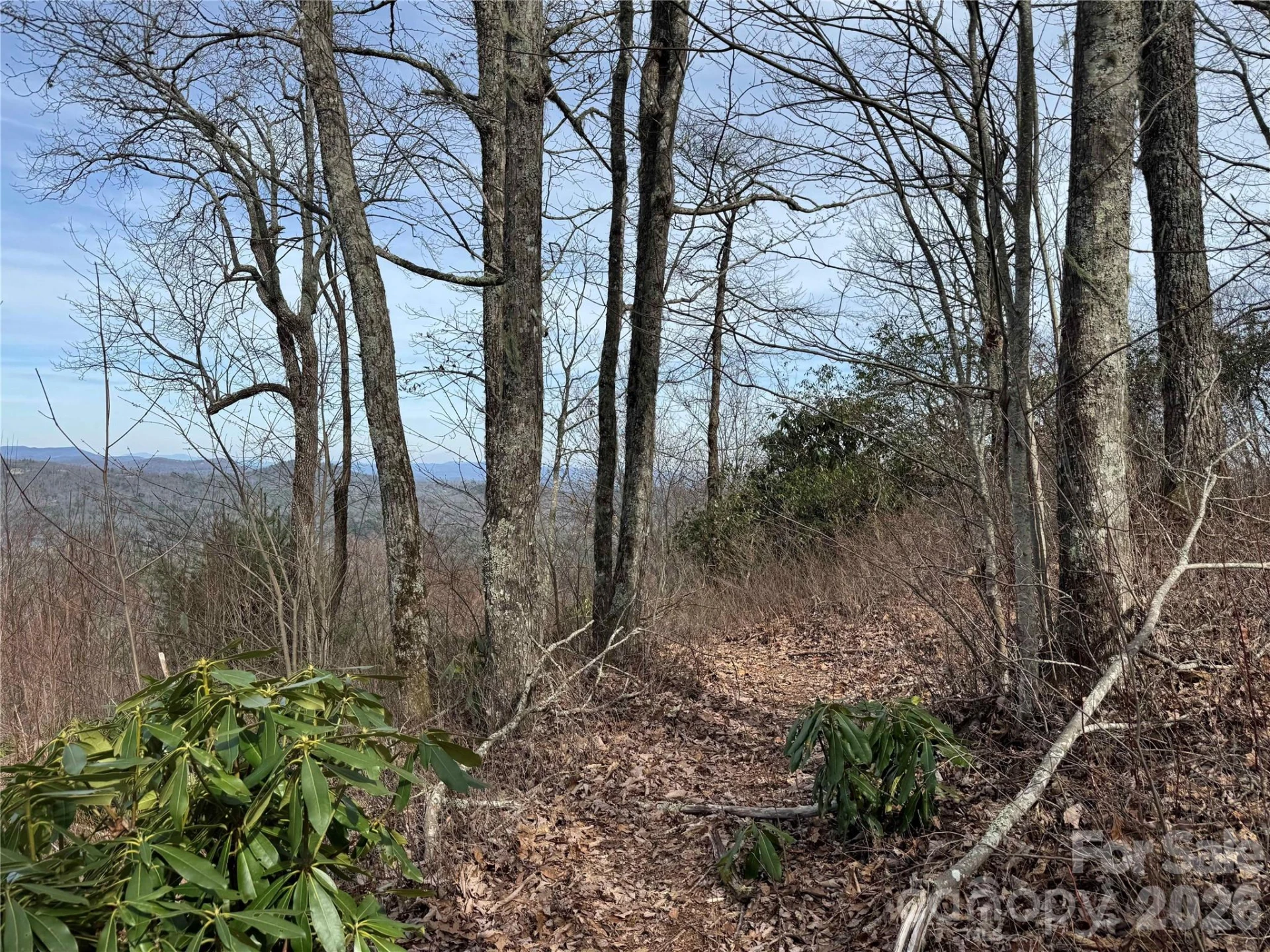 L3 Windy Gap Lane - Photo 3