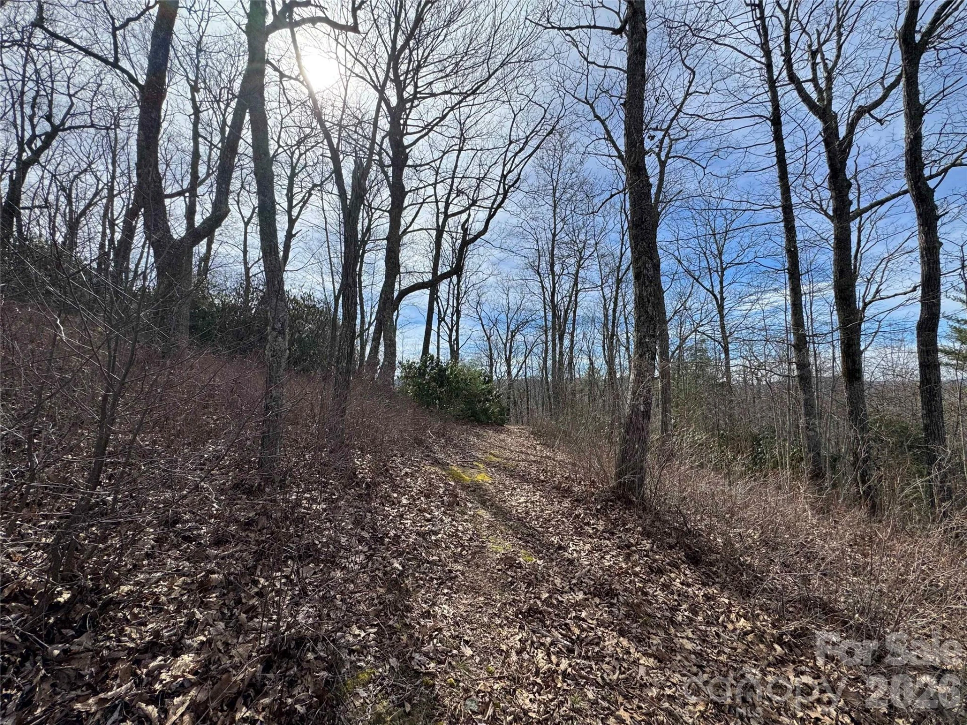 L3 Windy Gap Lane - Photo 6