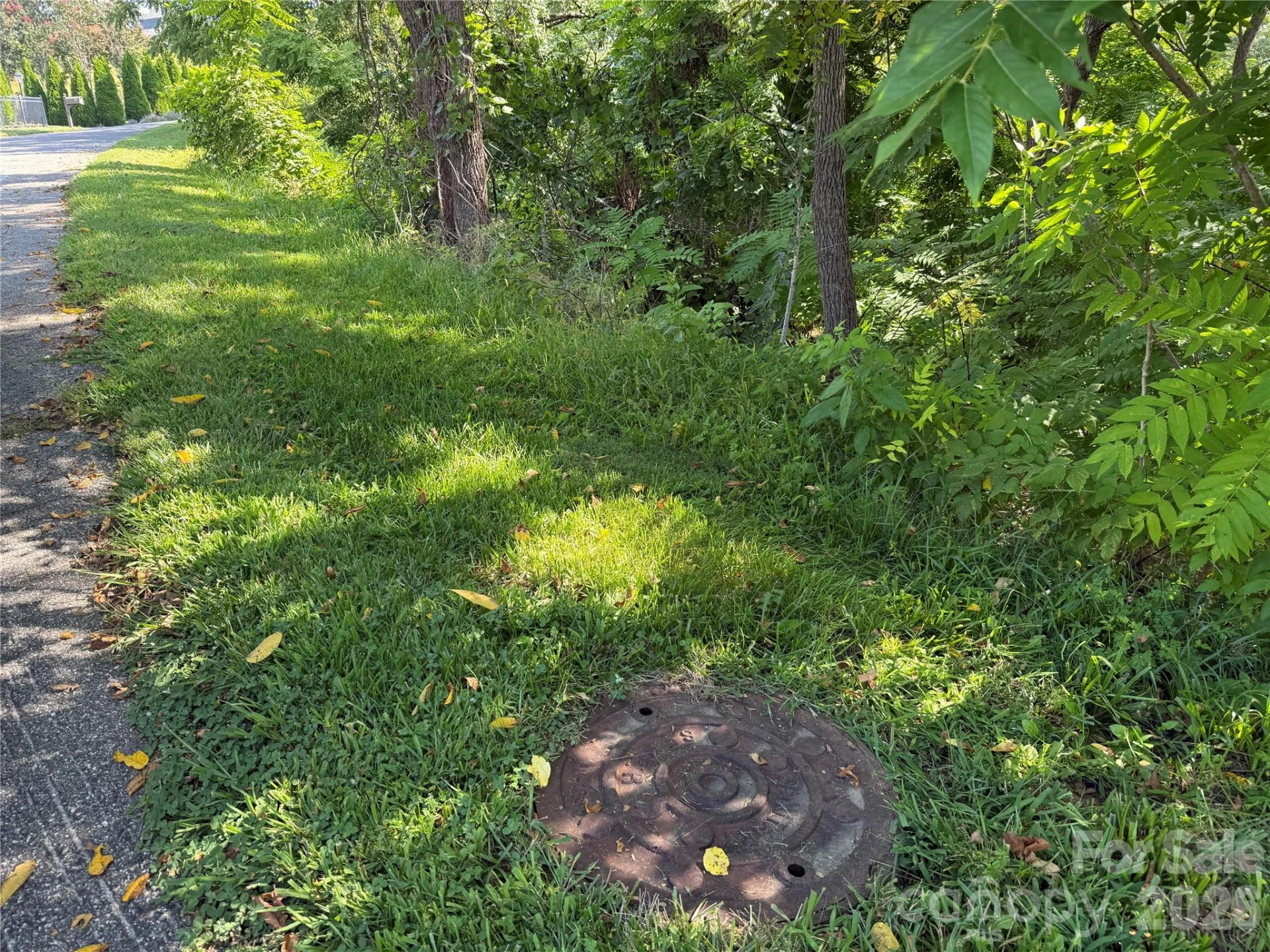 99999 Elk Mountain Ridge #13 - Photo 4