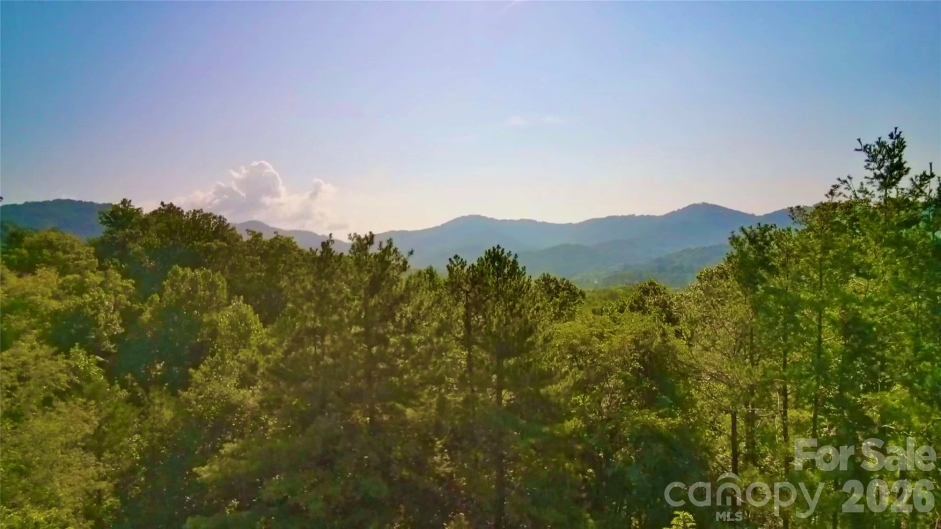 99999 Elk Mountain Ridge #13 - Photo 9