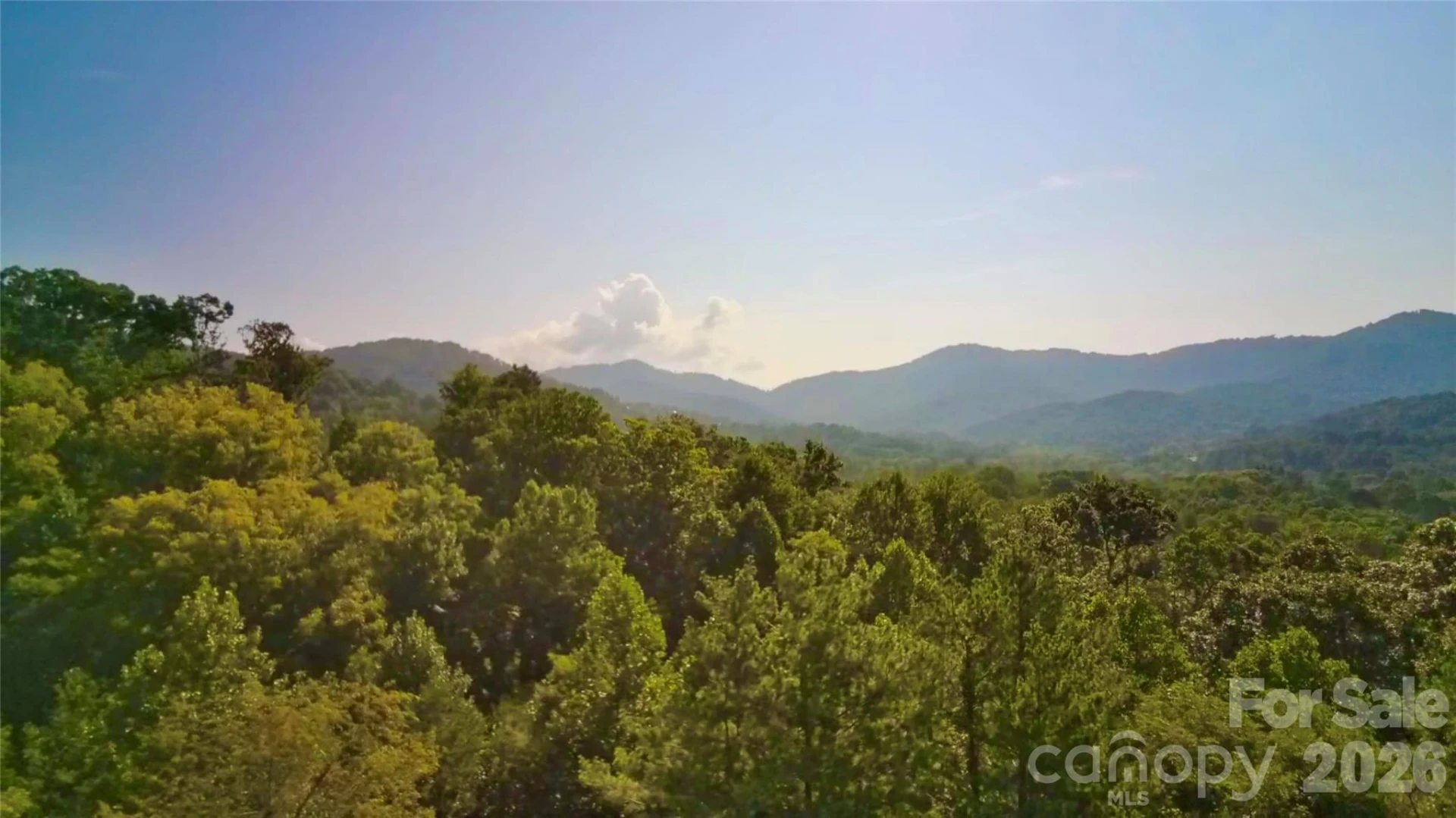 99999 Elk Mountain Ridge #13 - Photo 11