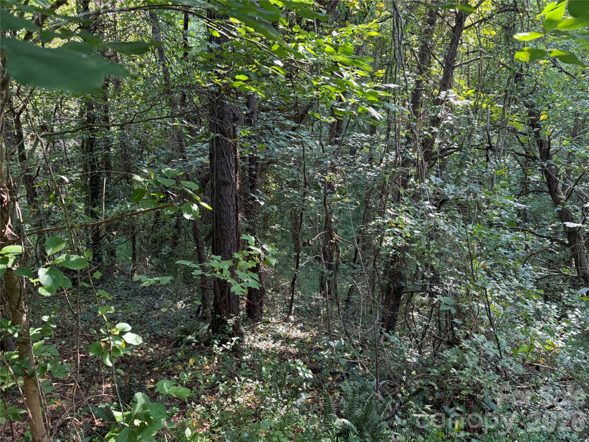 99999 Elk Mountain Ridge #13 - Photo 14