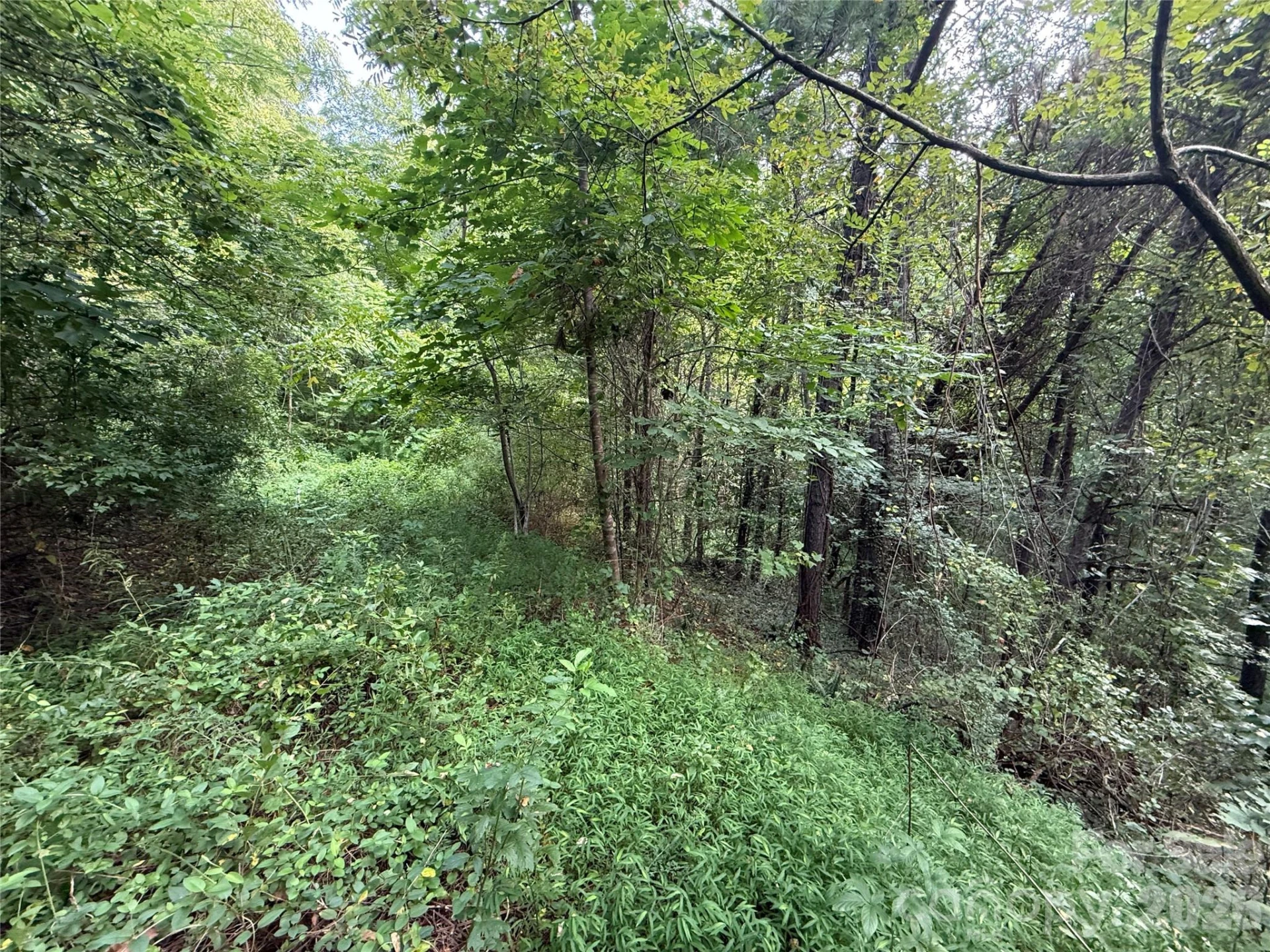 99999 Elk Mountain Ridge #13 - Photo 15