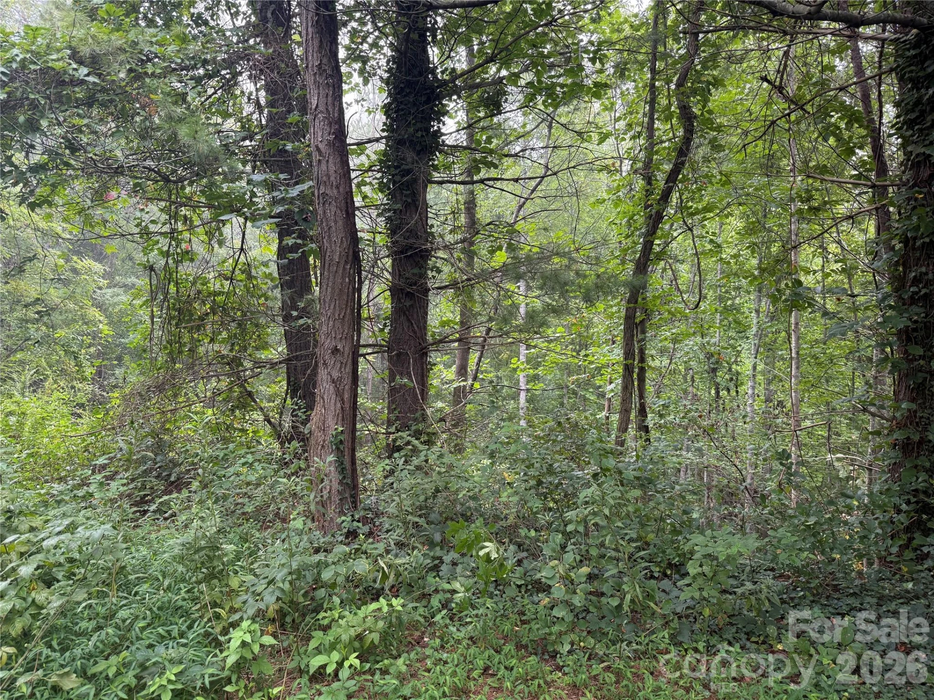 99999 Elk Mountain Ridge #13 - Photo 22