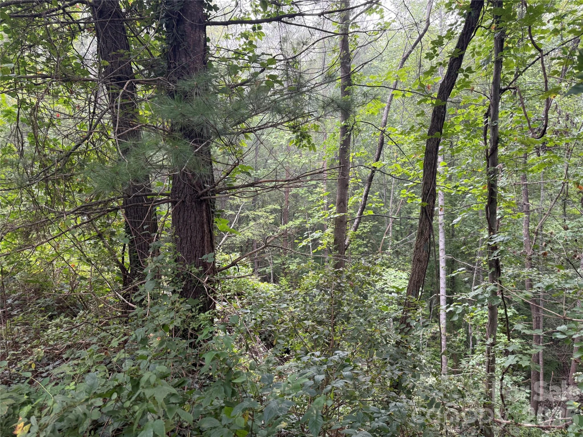 99999 Elk Mountain Ridge #13 - Photo 23
