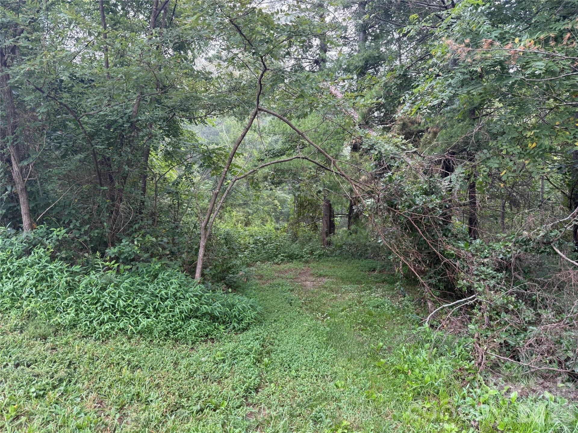 99999 Elk Mountain Ridge #14 - Photo 3