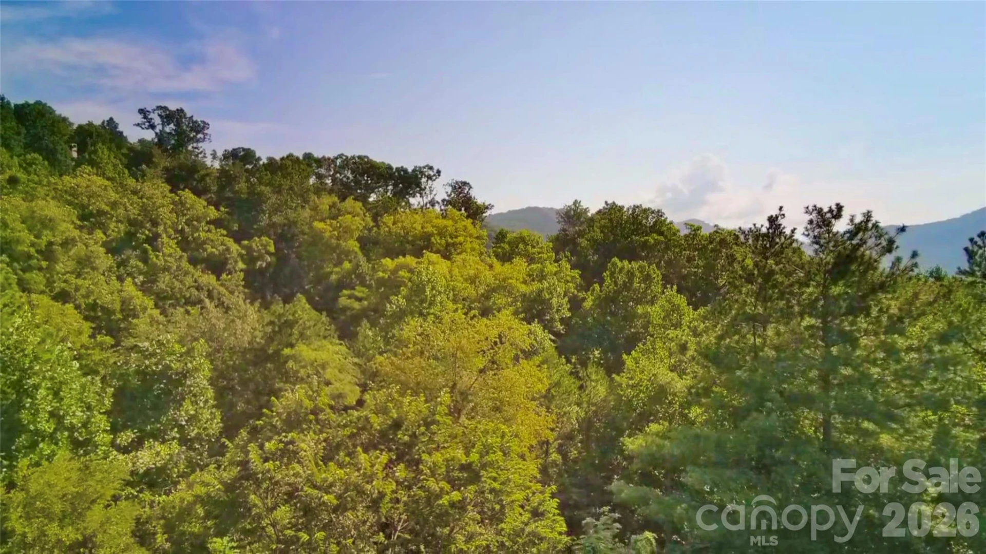 99999 Elk Mountain Ridge #14 - Photo 6