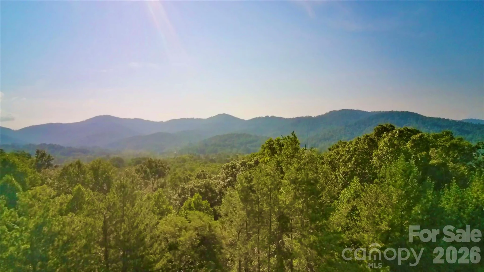 99999 Elk Mountain Ridge #14 - Photo 8