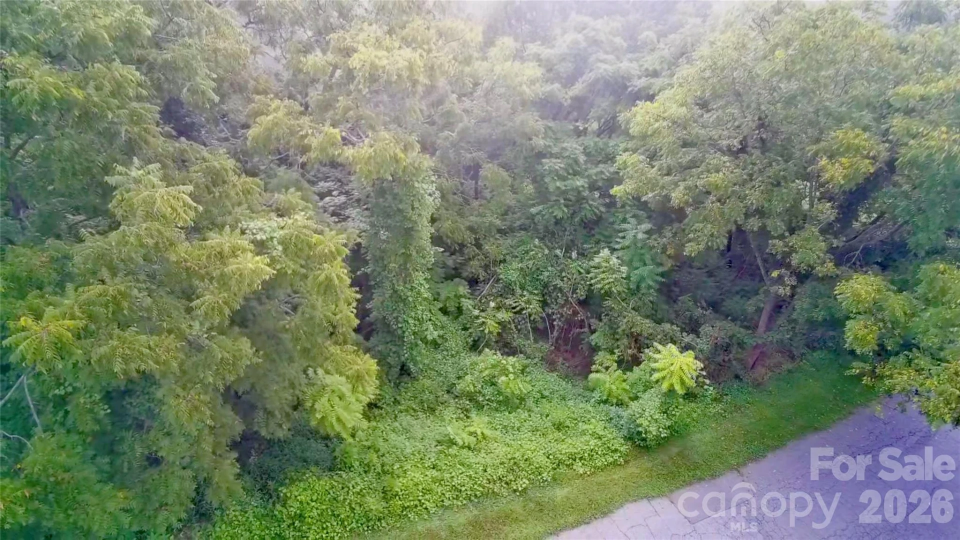99999 Elk Mountain Ridge #14 - Photo 18
