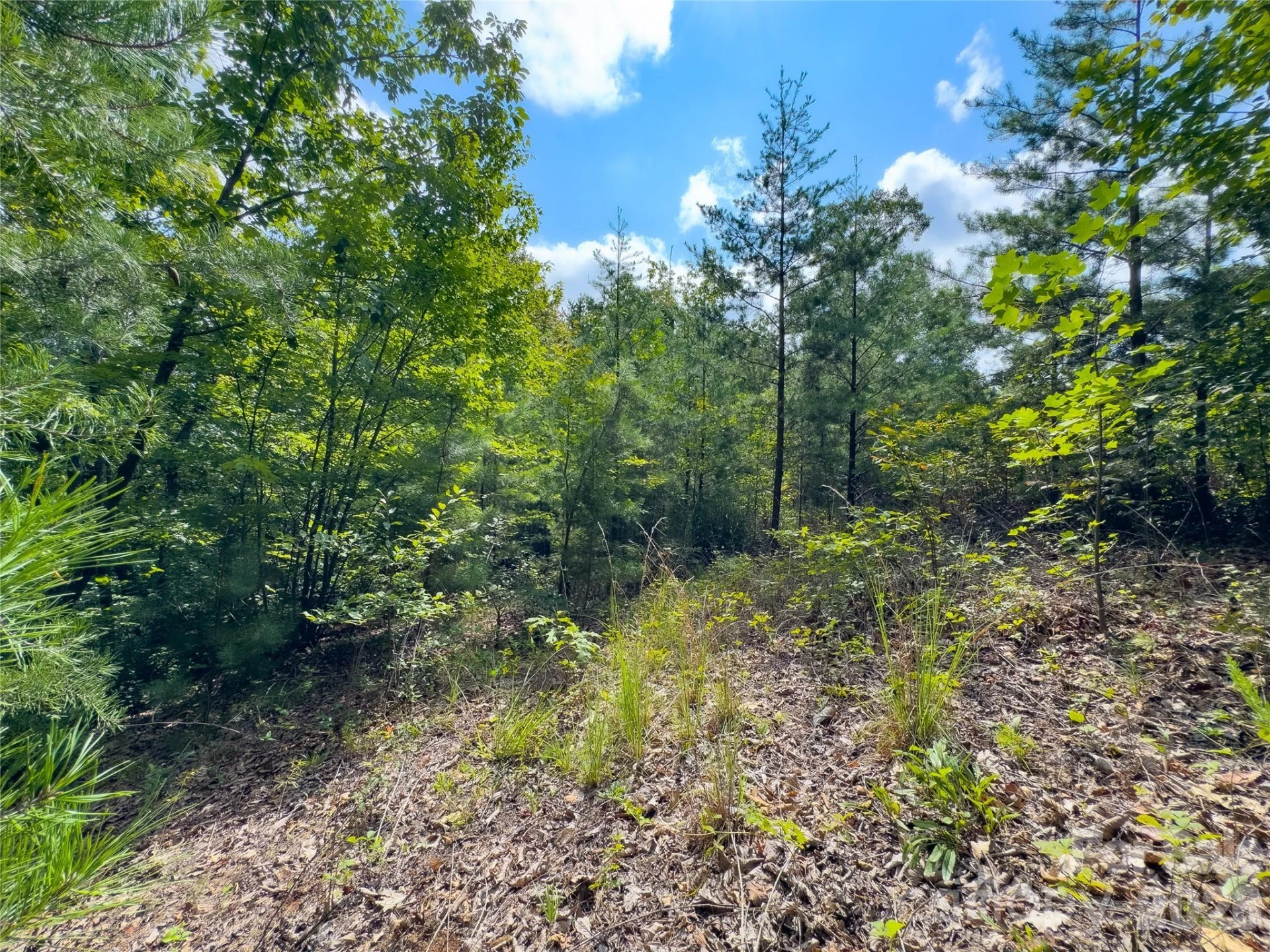 0 Boulder Ridge #5 - Photo 9