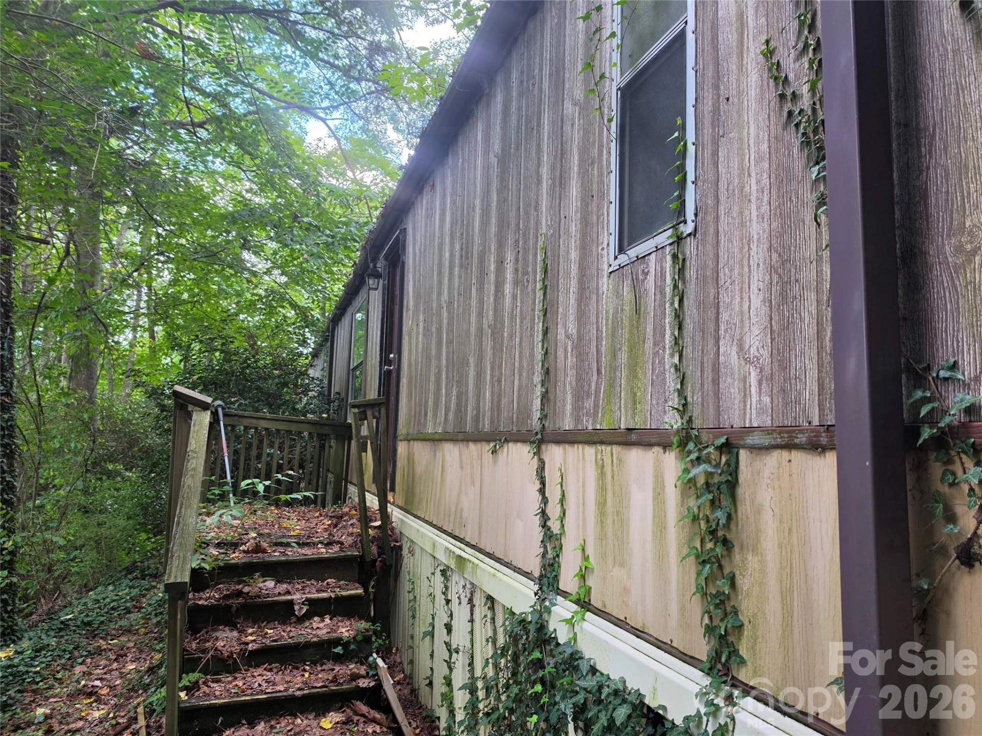 40 Gunches Dirt Road - Photo 3