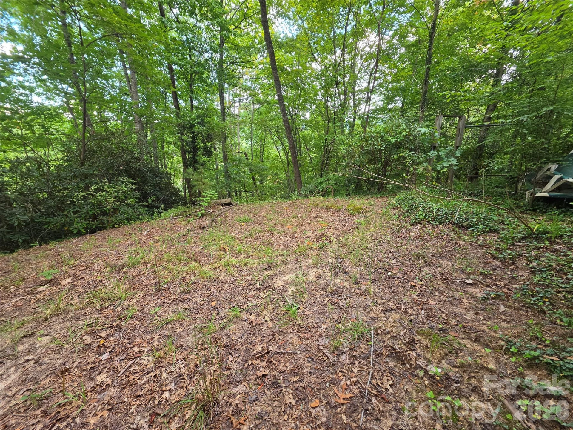 40 Gunches Dirt Road - Photo 6
