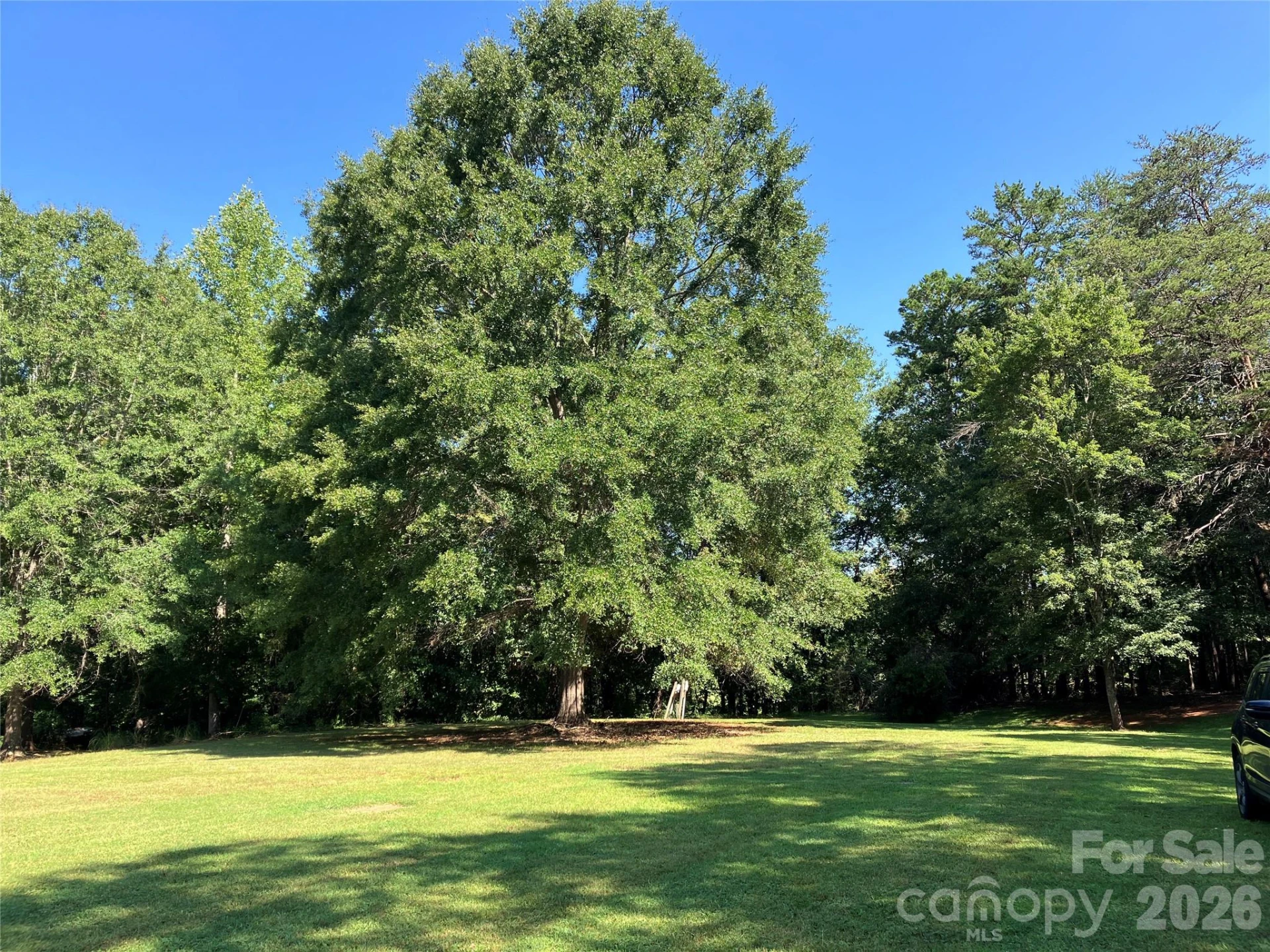 745 Lake Davis Road - Photo 7