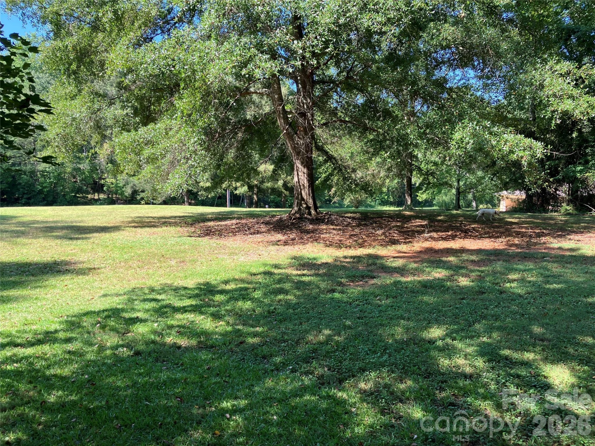 745 Lake Davis Road - Photo 11