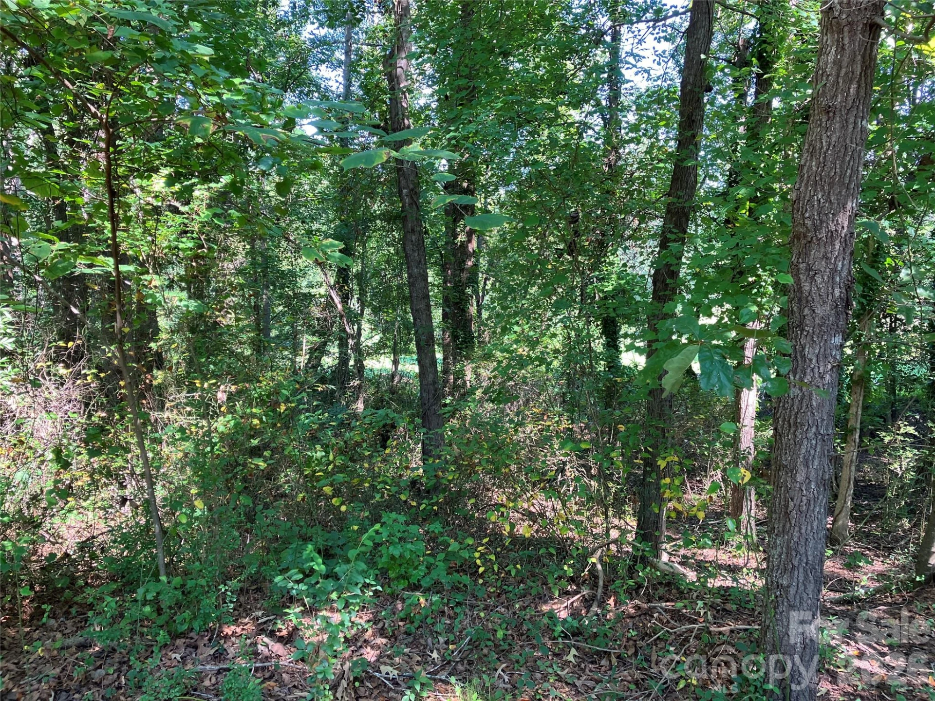 745 Lake Davis Road - Photo 12