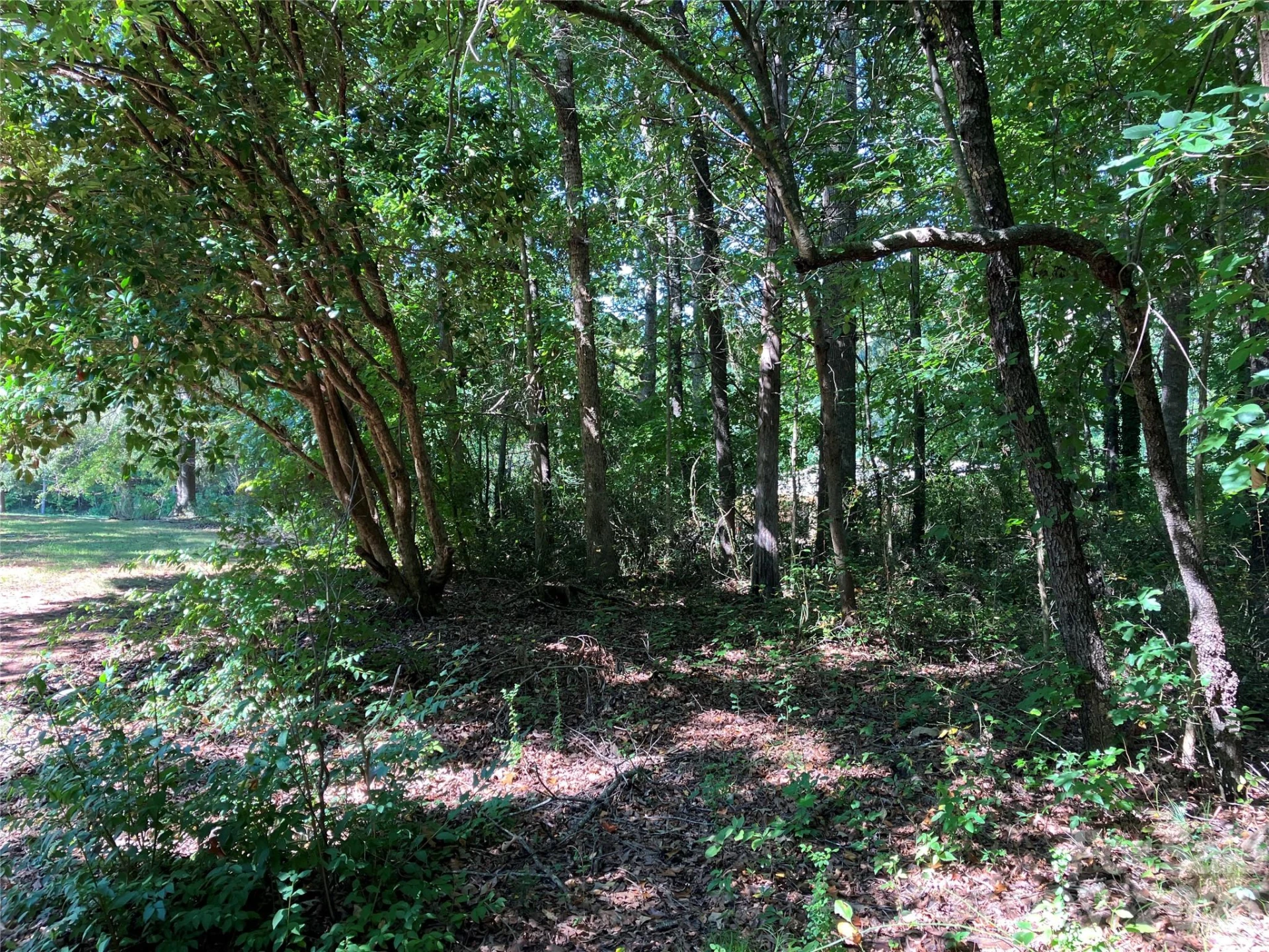 745 Lake Davis Road - Photo 13