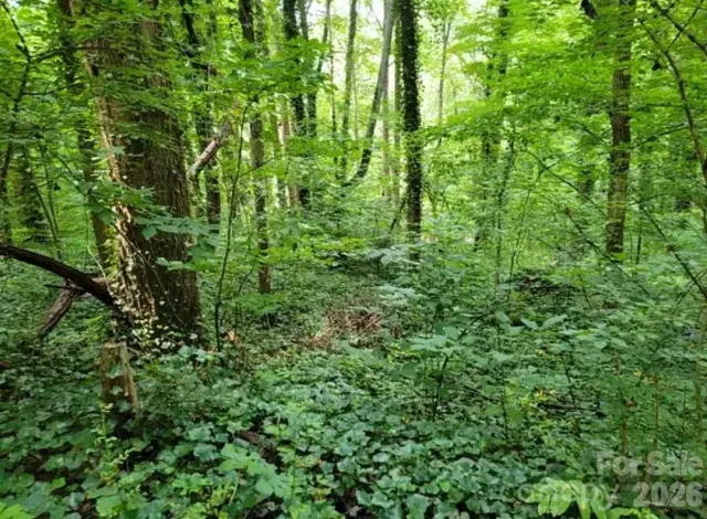 0 Rock Broad River Road, Hendersonville, NC, 28792