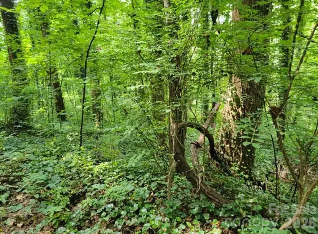 0 Rock Broad River Road #21 - Photo 2