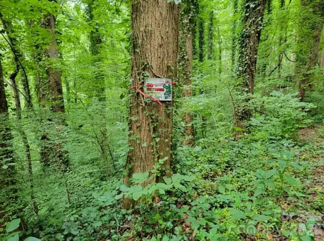 0 Rock Broad River Road #21 - Photo 4