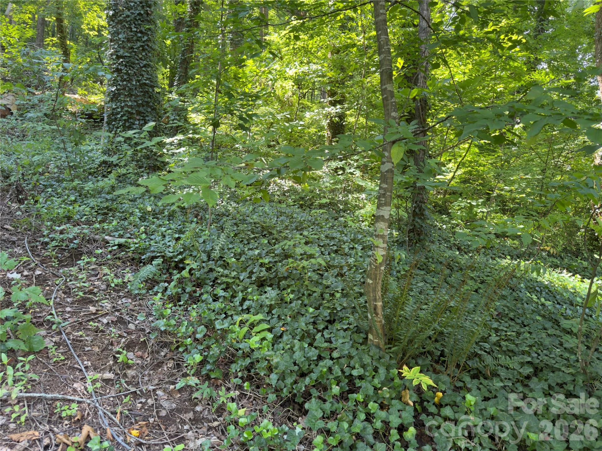 0 Rock Broad River Road #21 - Photo 7