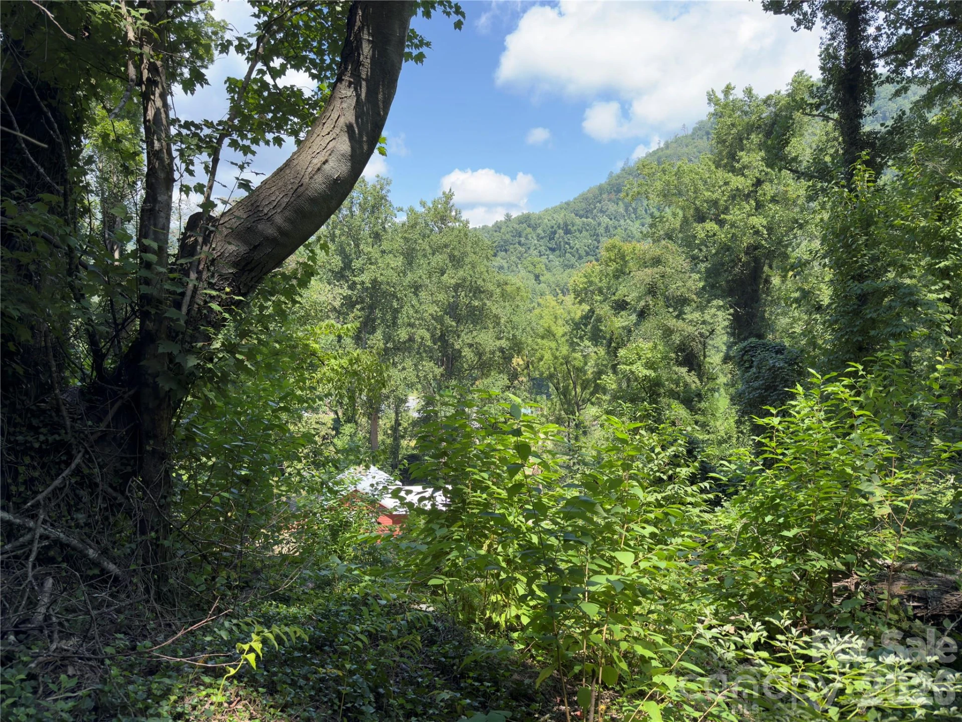 0 Rock Broad River Road #21 - Photo 8