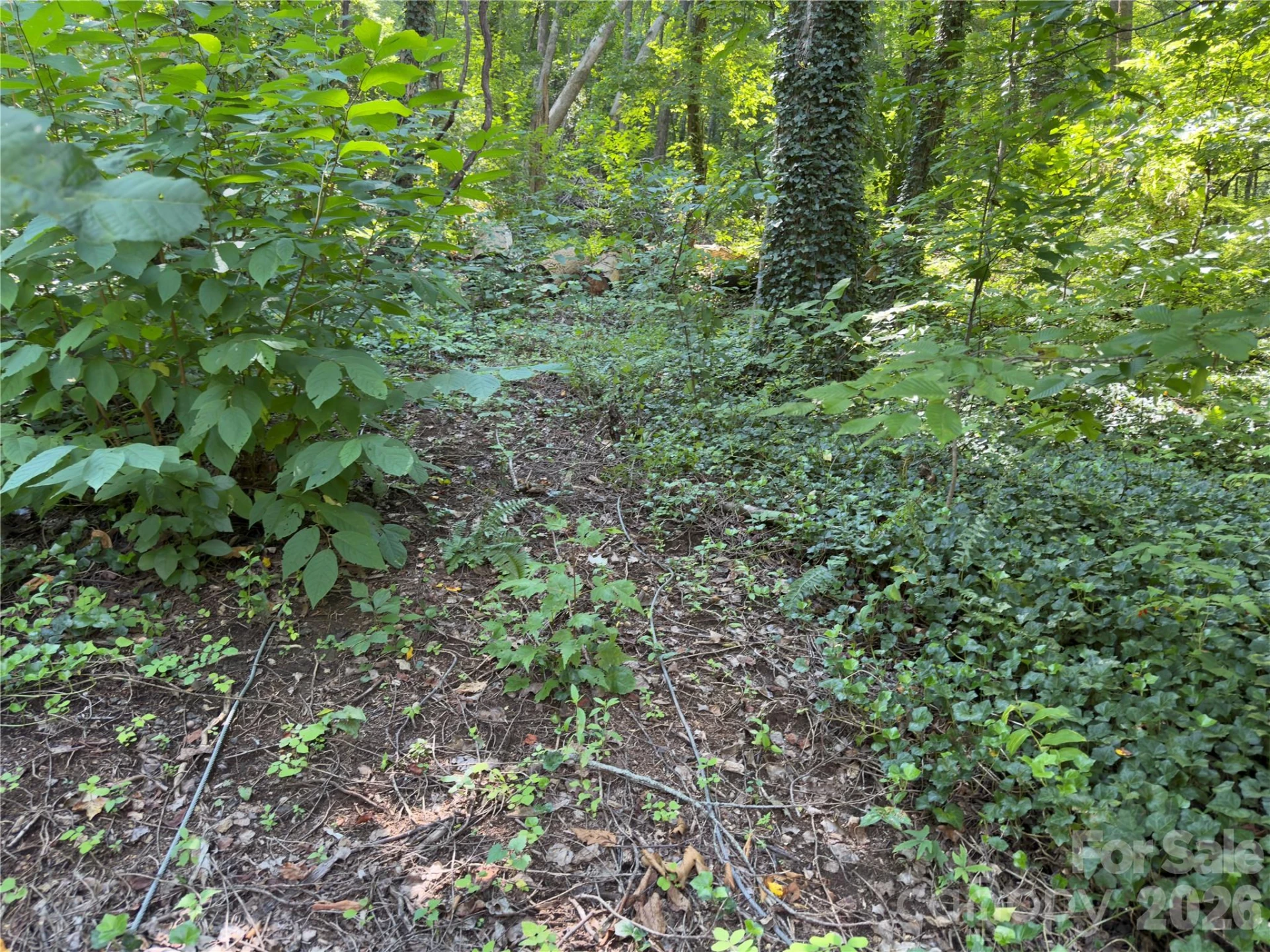 0 Rock Broad River Road #21 - Photo 9