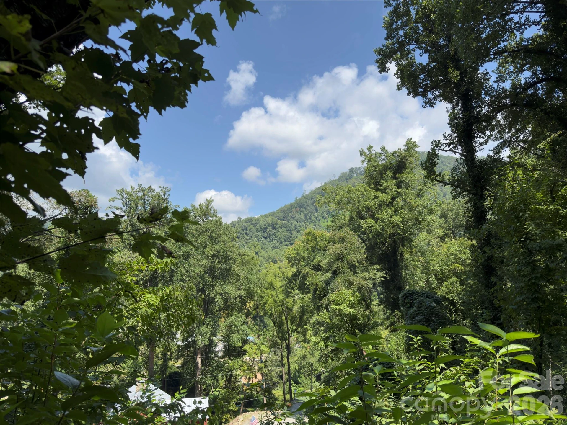 0 Rock Broad River Road #21 - Photo 10