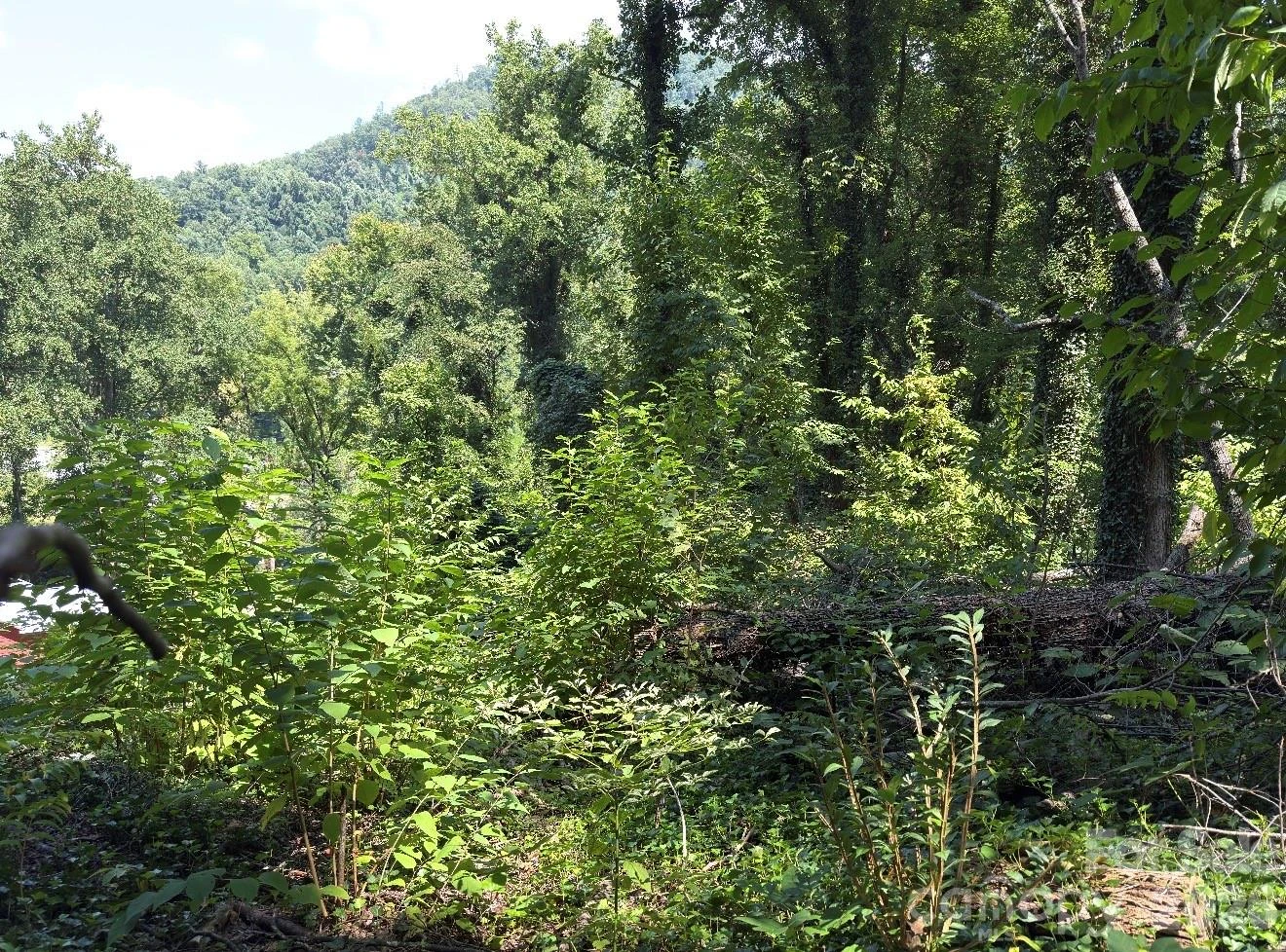 0 Rock Broad River Road #21 - Photo 11