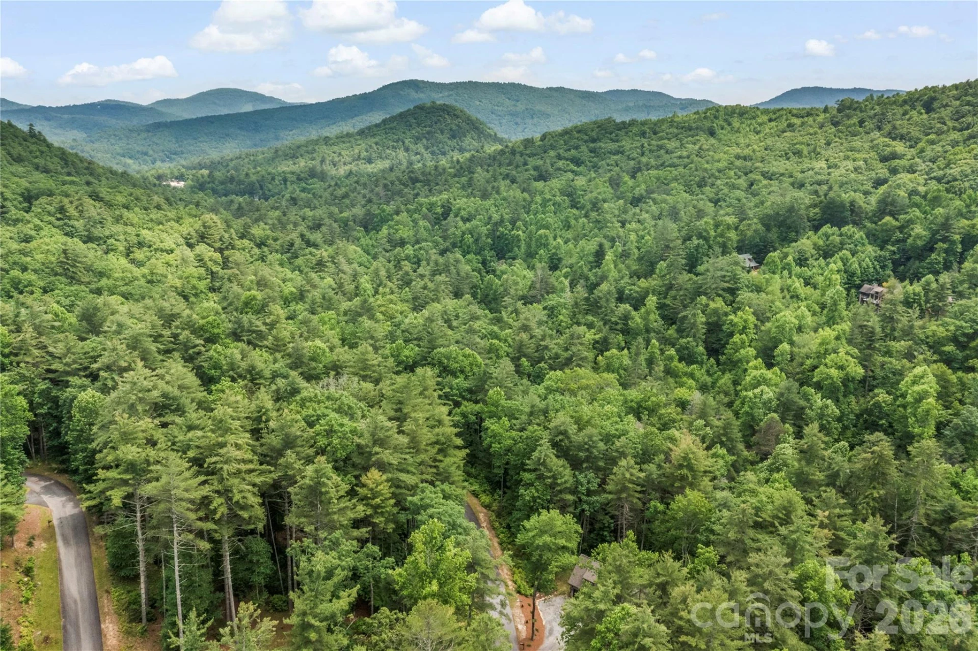 68 Huckleberry Ridge Lane - Photo 43