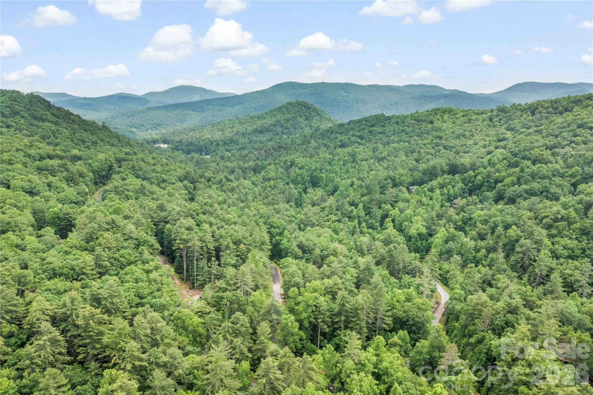 68 Huckleberry Ridge Lane - Photo 44